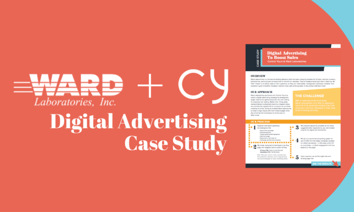 Digital Advertising Case Study